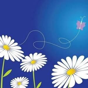 Meet your Posher, Lynn